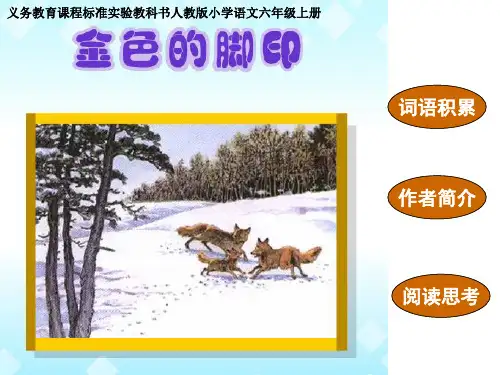 六年级语文上24 《金色的脚印》公开课精品优质课件