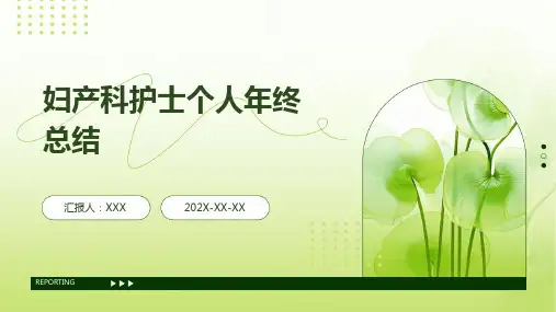 妇产科护士个人年终总结PPT
