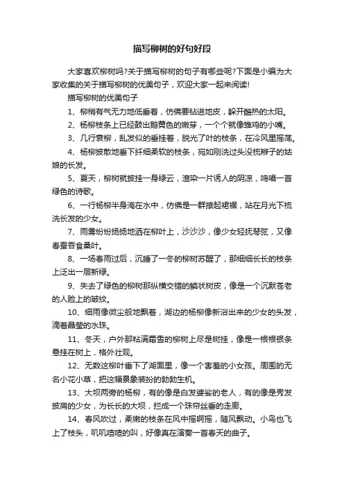 描写柳树的好句好段