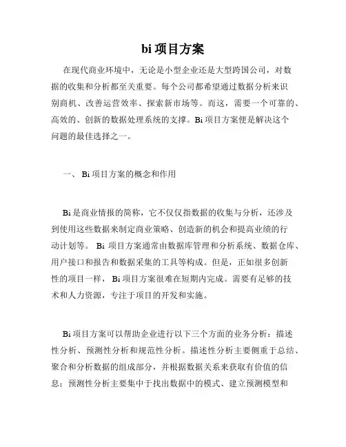bi项目方案