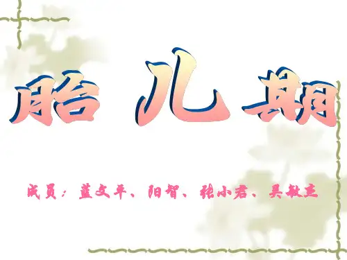 胎儿期