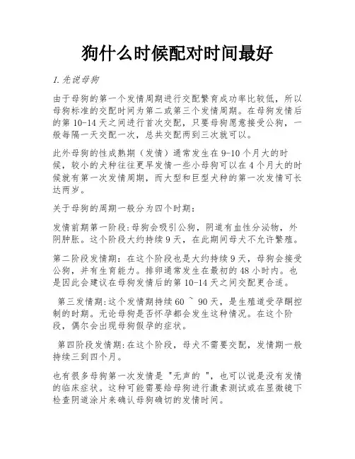 狗什么时候配对时间最好