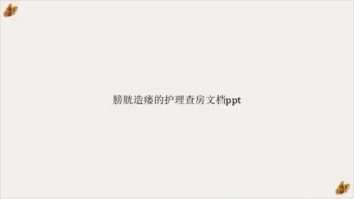 膀胱造瘘的护理查房PPT【48页】