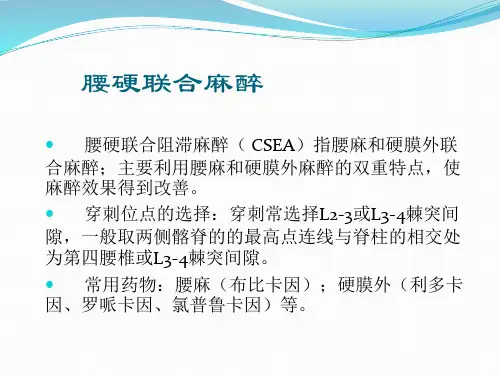 腰硬联合麻醉在骨科手术中应用与术后镇痛课件