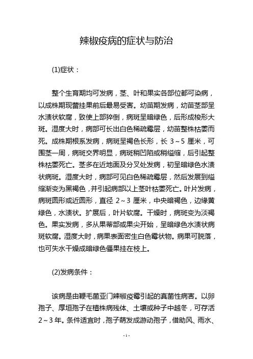 辣椒疫病的症状与防治