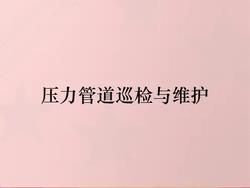 压力管道巡检与维护