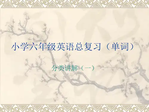 小学六年级英语总复习单词记忆之文具身体各部分颜色动物