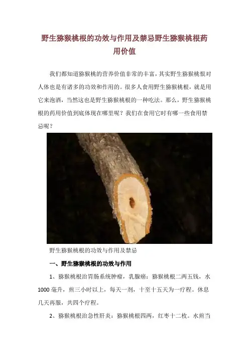 野生猕猴桃根的功效与作用及禁忌 野生猕猴桃根药用价值