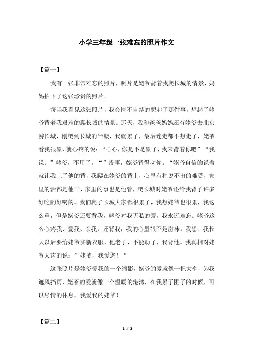 小学三年级一张难忘的照片作文