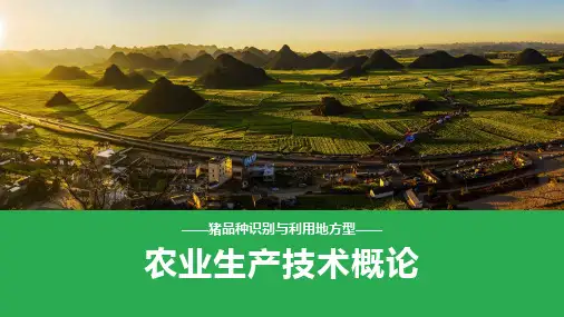 养猪技术—地方猪品种的识别与利用