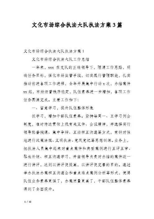 文化市场综合执法大队执法方案3篇