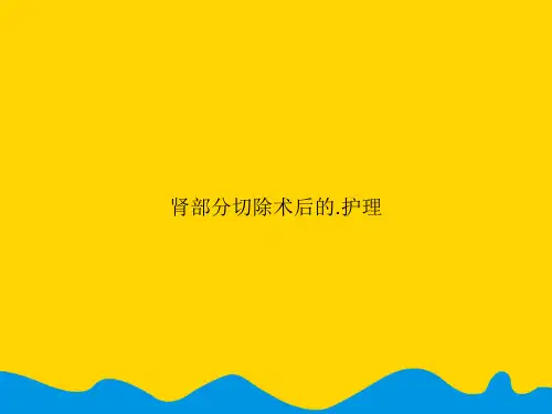 肾部分切除术后的.护理.精选PPT