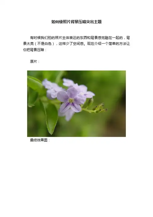 如何使照片背景压暗突出主题