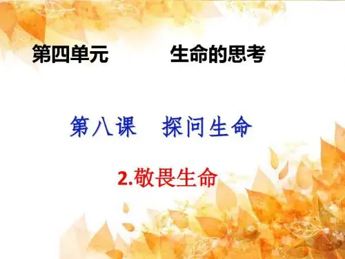 人教版《道德与法治》七年级上册 8.2 敬畏生命 课件(共17张PPT)