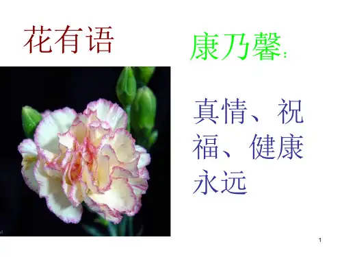 《铃兰花》ppt课件讲解