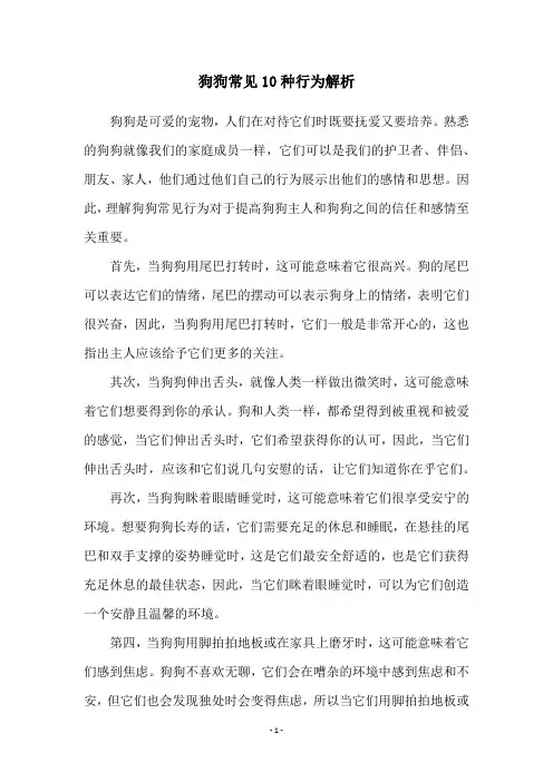狗狗常见10种行为解析