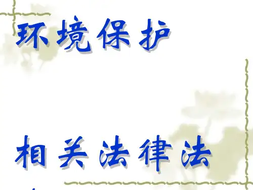 相关法律法规PPT模板.pptx