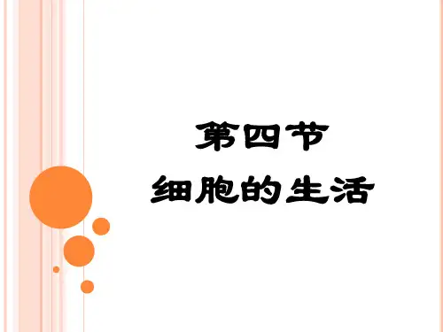 人教版生物七年级上册2.1.4《细胞的生活》课件 (共56张PPT)