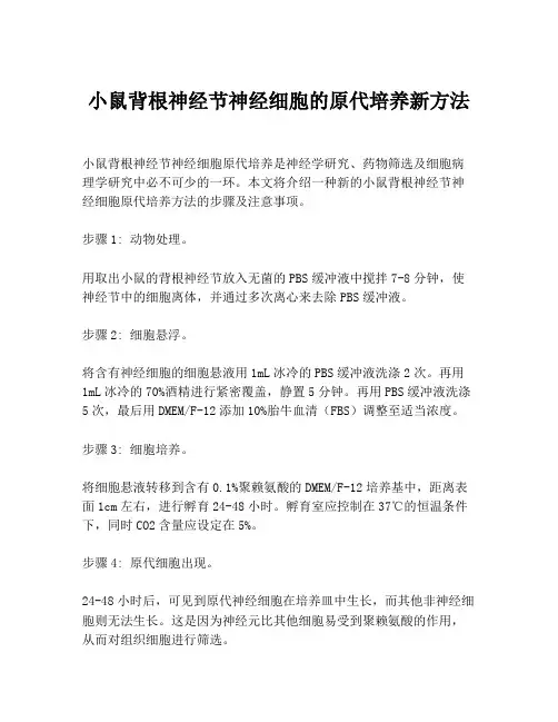 小鼠背根神经节神经细胞的原代培养新方法
