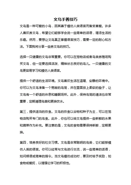 文鸟手养技巧
