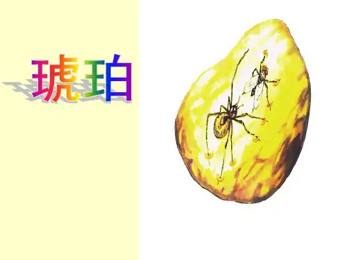《琥珀》课件