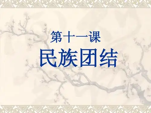 11民族团结
