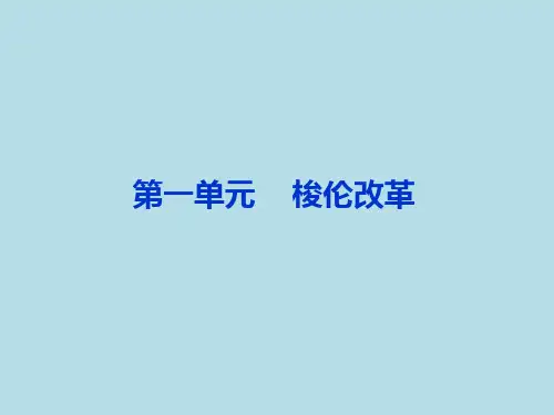 高中历史选修1第一单元《梭伦改革》PPT课件