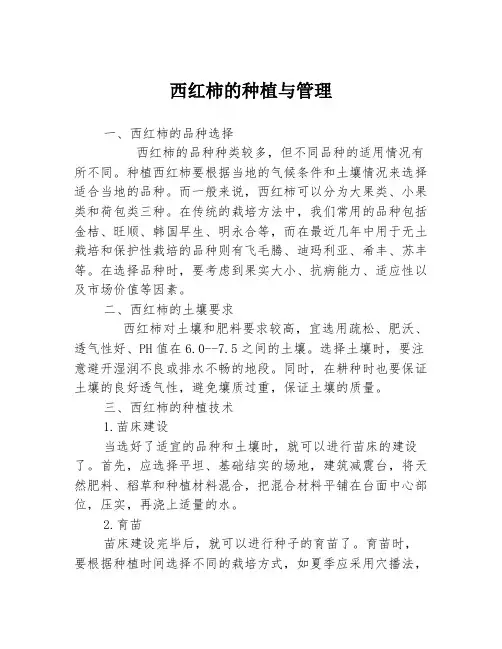 西红柿的种植与管理