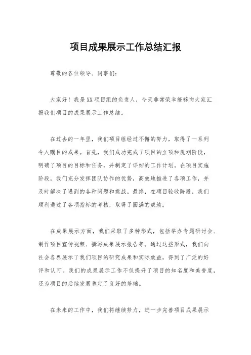 项目成果展示工作总结汇报
