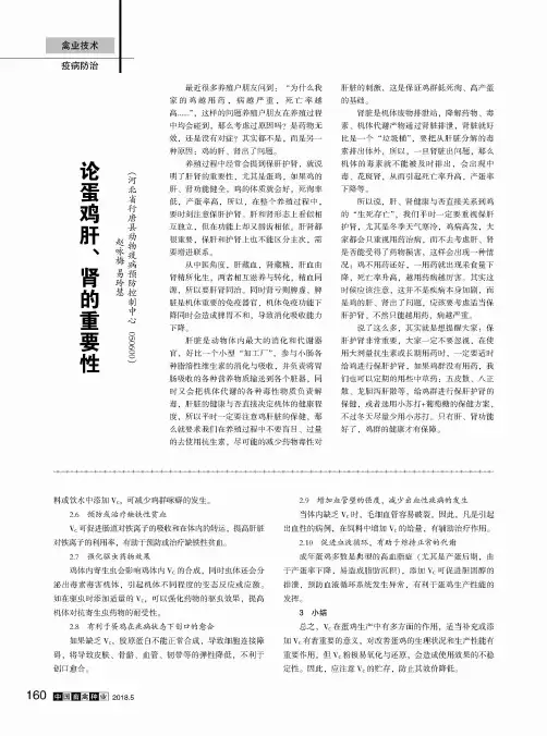论蛋鸡肝、肾的重要性