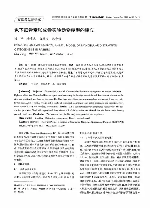 兔下颌骨牵张成骨实验动物模型的建立