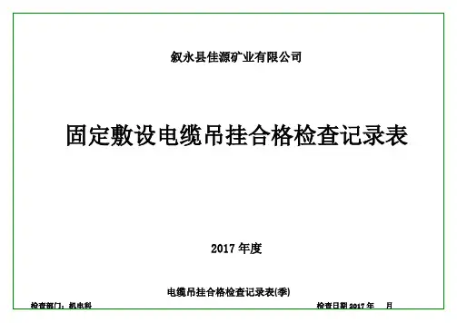 固定电缆绝缘和外部检查记录