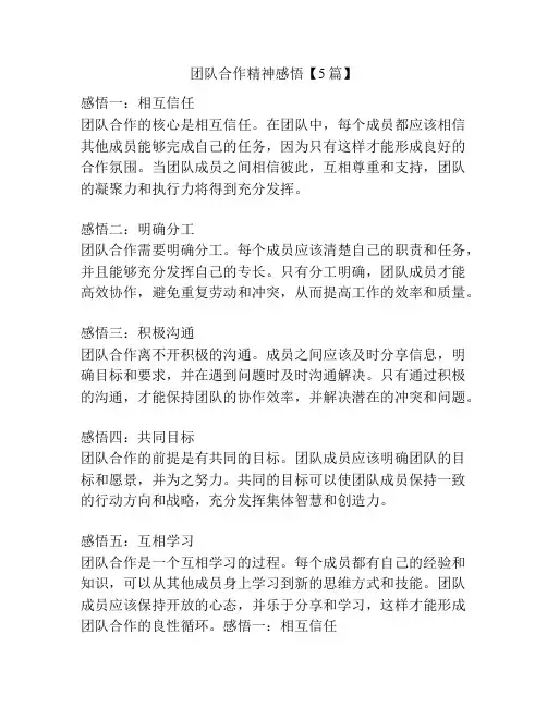 团队合作精神感悟【5篇】