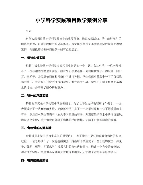 小学科学实践项目教学案例分享