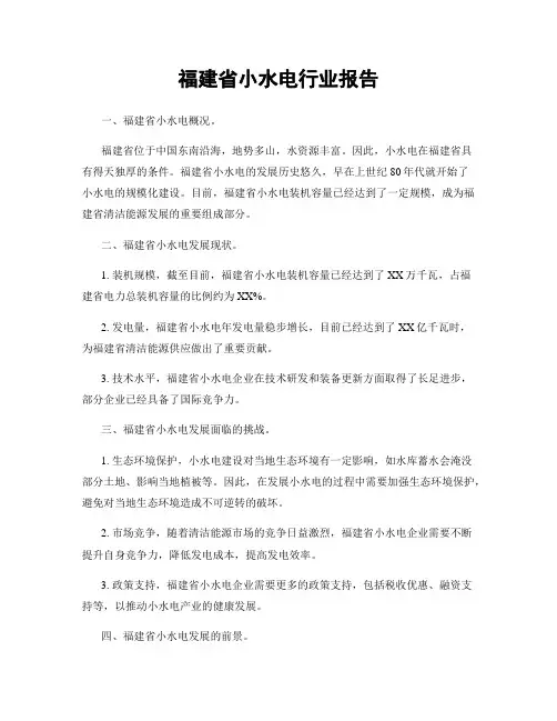 福建省小水电行业报告