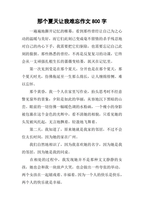 那个夏天让我难忘作文800字