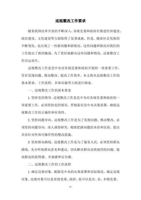 巡视整改工作要求