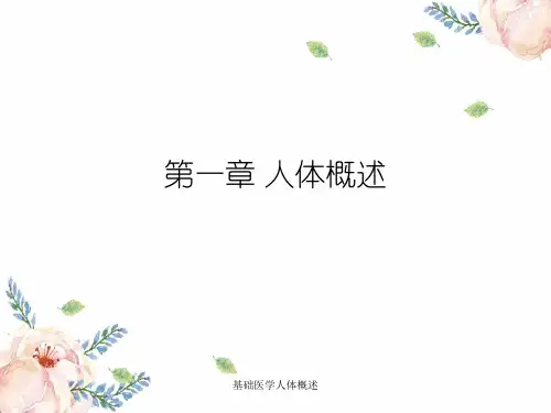 基础医学人体概述