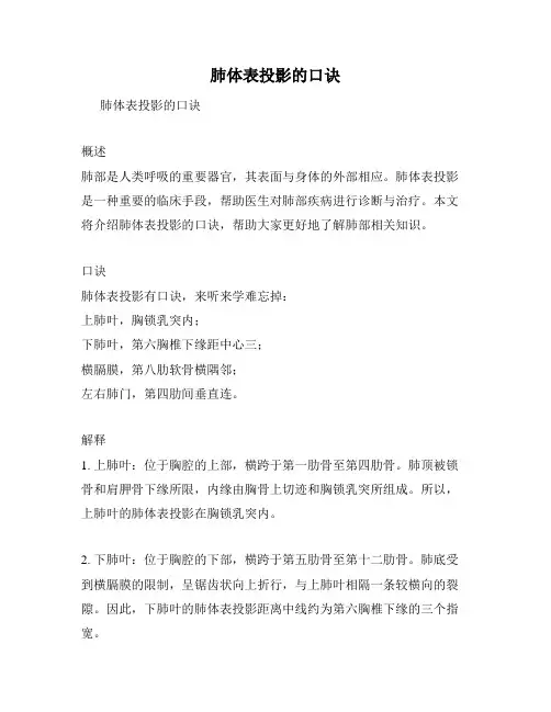 肺体表投影的口诀