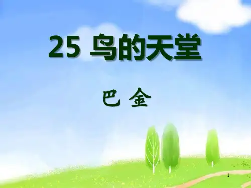 鸟的天堂ppt课件