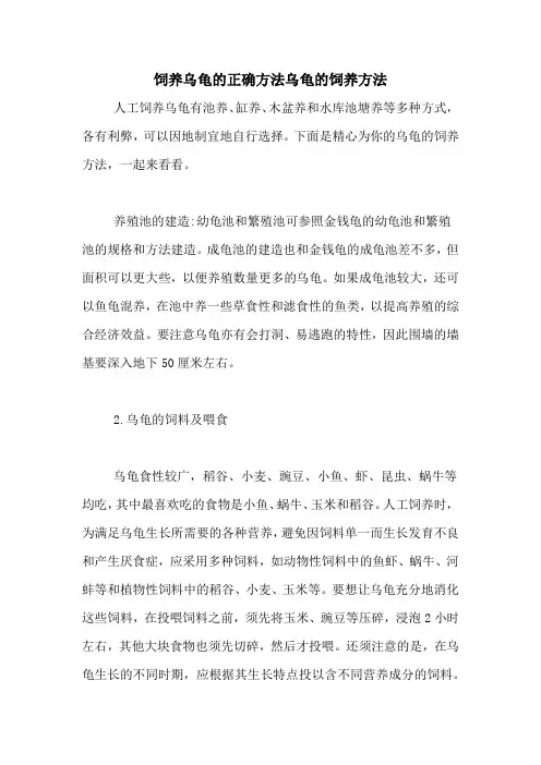 饲养乌龟的正确方法乌龟的饲养方法