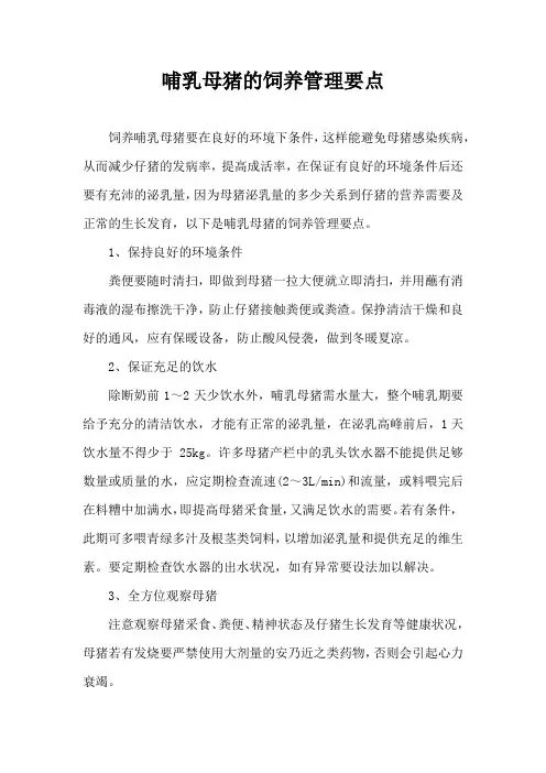 哺乳母猪饲养管理要点