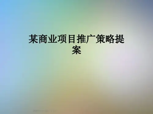 某商业项目推广策略提案