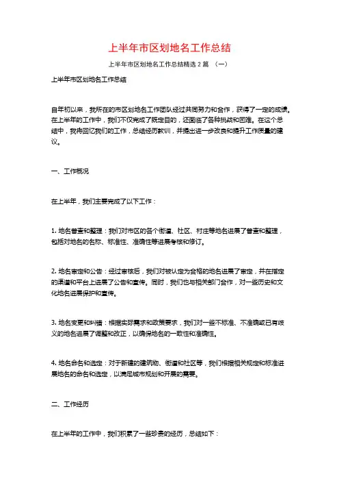 上半年市区划地名工作总结2篇