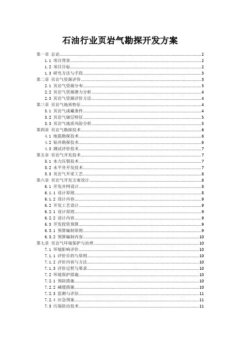 石油行业页岩气勘探开发方案