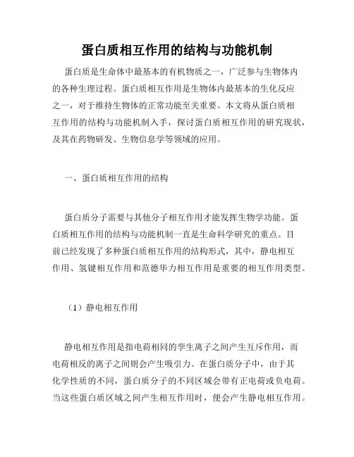 蛋白质相互作用的结构与功能机制