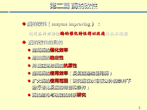 酶工程第五章酶改性的基本理论——酶的结构及其与催化特性的关系2精品文档129页