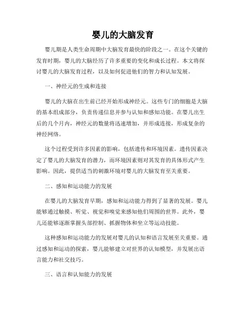 婴儿的大脑发育
