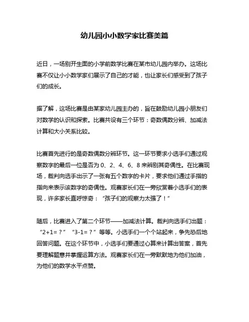 幼儿园小小数学家比赛美篇