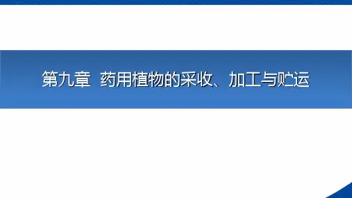 《中药种植技术》课件——第九章  药用植物的采收、加工与贮运